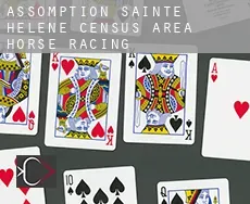 Assomption-Sainte-Hélène (census area)  horse racing
