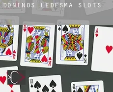 Doñinos de Ledesma  slots