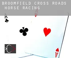 Broomfield Cross Roads  horse racing