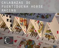 Calabazas de Fuentidueña  horse racing