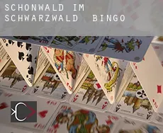 Schönwald im Schwarzwald  bingo