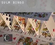 Sülm  bingo
