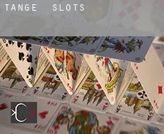 Tange  slots