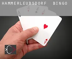 Hammerleubsdorf bingo
