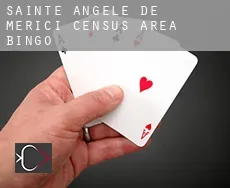Sainte-Angèle-de-Mérici (census area)  bingo