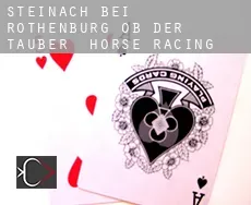 Steinach bei Rothenburg ob der Tauber  horse racing