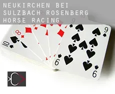 Neukirchen bei Sulzbach-Rosenberg  horse racing