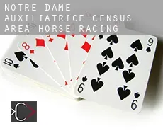 Notre-Dame-Auxiliatrice (census area)  horse racing