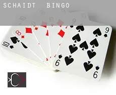 Schaidt  bingo