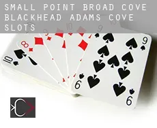 Small Point-Broad Cove-Blackhead-Adams Cove  slots