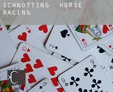 Schnotting horse racing