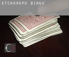 Etchoropo  bingo