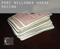 Port Willunga  horse racing