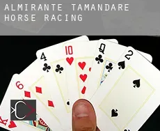 Almirante Tamandaré horse racing