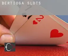 Bertioga  slots