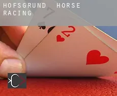 Hofsgrund  horse racing