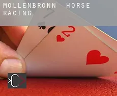 Möllenbronn  horse racing