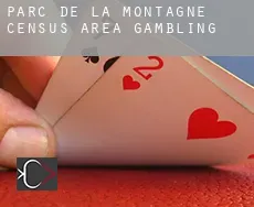 Parc-de-la-Montagne (census area)  gambling