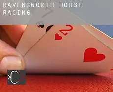 Ravensworth  horse racing