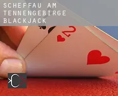 Scheffau am Tennengebirge  blackjack