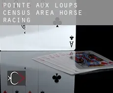 Pointe-aux-Loups (census area)  horse racing