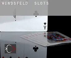 Windsfeld  slots