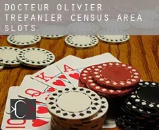 Docteur-Olivier-Trépanier (census area)  slots