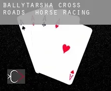Ballytarsha Cross Roads  horse racing
