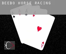 Beebo  horse racing
