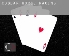 Cóbdar  horse racing