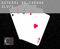 Esterri de Cardós slots
