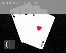 Gohlau  slots