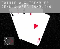 Pointe-aux-Trembles (census area)  gambling