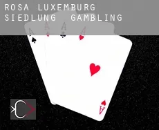 Rosa-Luxemburg Siedlung gambling