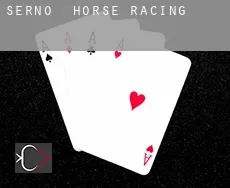Serno  horse racing