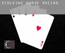 Stocking  horse racing
