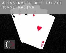 Weißenbach bei Liezen  horse racing