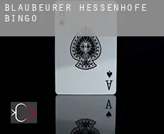 Blaubeurer Hessenhöfe  bingo