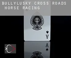 Bullylusky Cross Roads  horse racing
