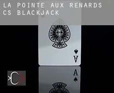 Pointe-aux-Renards (census area)  blackjack