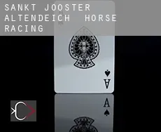 Sankt Jooster Altendeich horse racing
