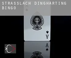 Straßlach-Dingharting  bingo