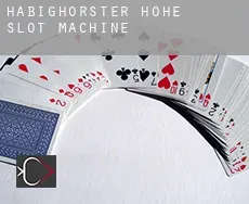 Habighorster Höhe  slot machine