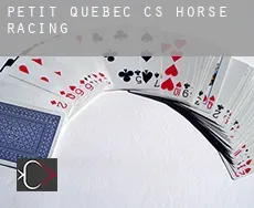 Petit-Québec (census area)  horse racing