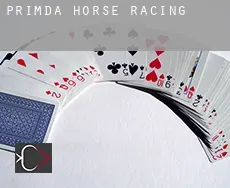 Přimda  horse racing