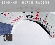 Storkau horse racing
