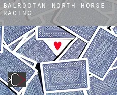 Balrootan North  horse racing