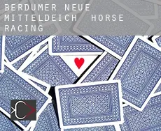 Berdumer Neue Mitteldeich  horse racing