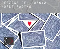 Berzosa del Lozoya  horse racing