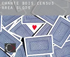 Chante-Bois (census area)  slots